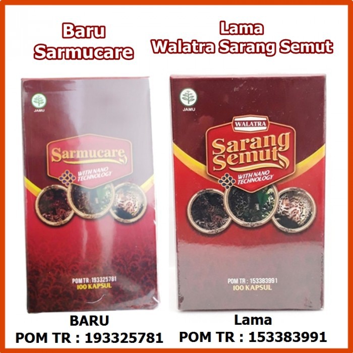 Jual Sarmucare Sarang Semut ASLI Obat Benjolan di Mata Obat Benjolan Di  Lidah Obat Benjolan Di Dahi Indonesia|Shopee Indonesia