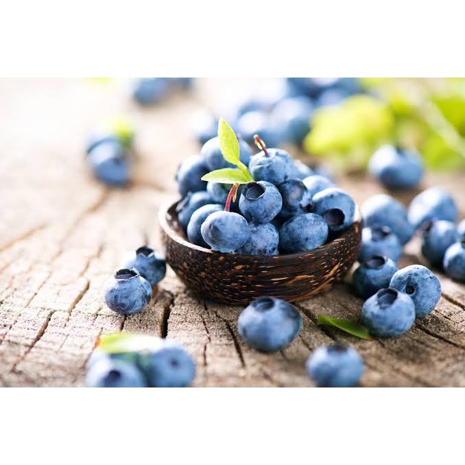 Jual Blueberry Extract liquid / Blueberry cair 50ml Shopee Indonesia