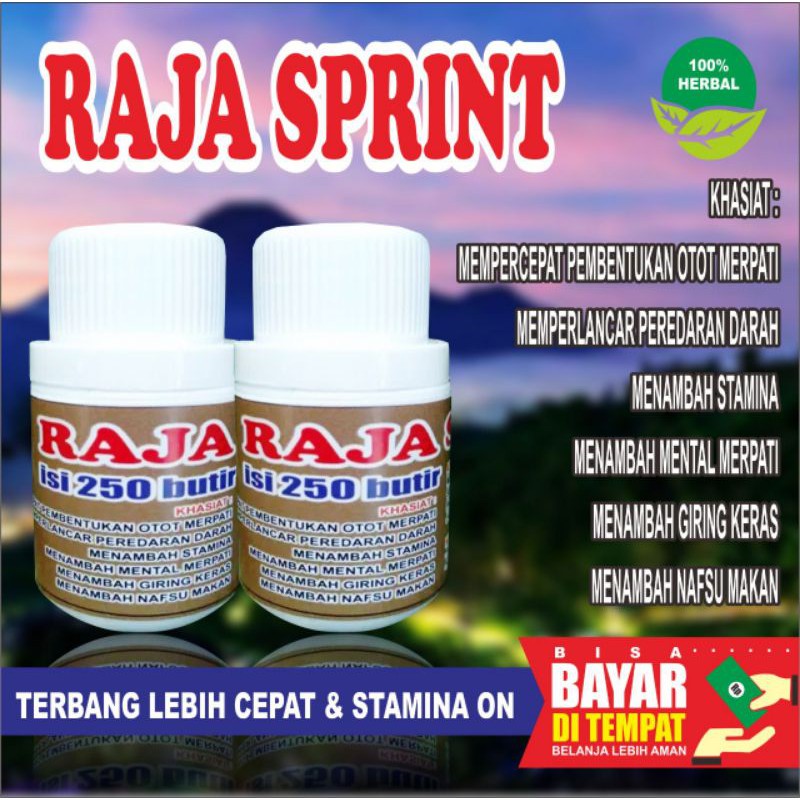 Jual Cod Isi 100 Butir Raja Sprint-Jamu Merpati-Jamu Merpati Tinggi-Doping Merpati-Bukan Ginseng Teki | Shopee Indonesia
