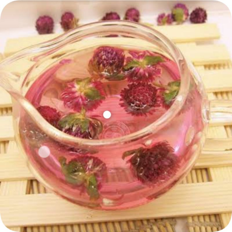 Jual Globe Amaranth Tea (5 gram) Shopee Indonesia
