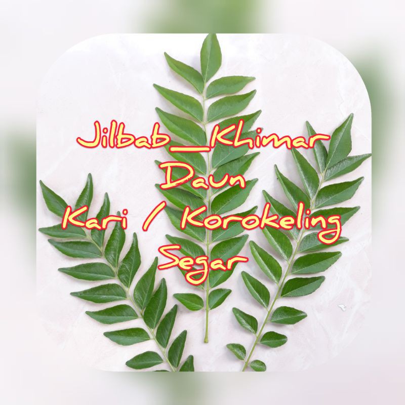 DAUN KARI / RUKURUKU / SALAM KOJA / TEMURUI / KOROKELING SEGER
