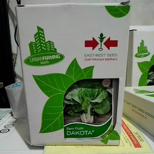 Benih Bibit sawi putih DAKOTA Cap Panah Merah Shopee Indonesia