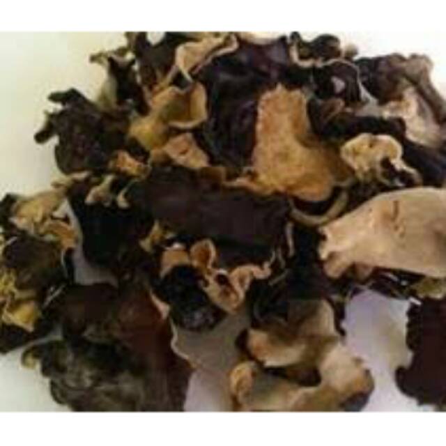 Gambar Jamur Kuping Hitam Arumi Gambar