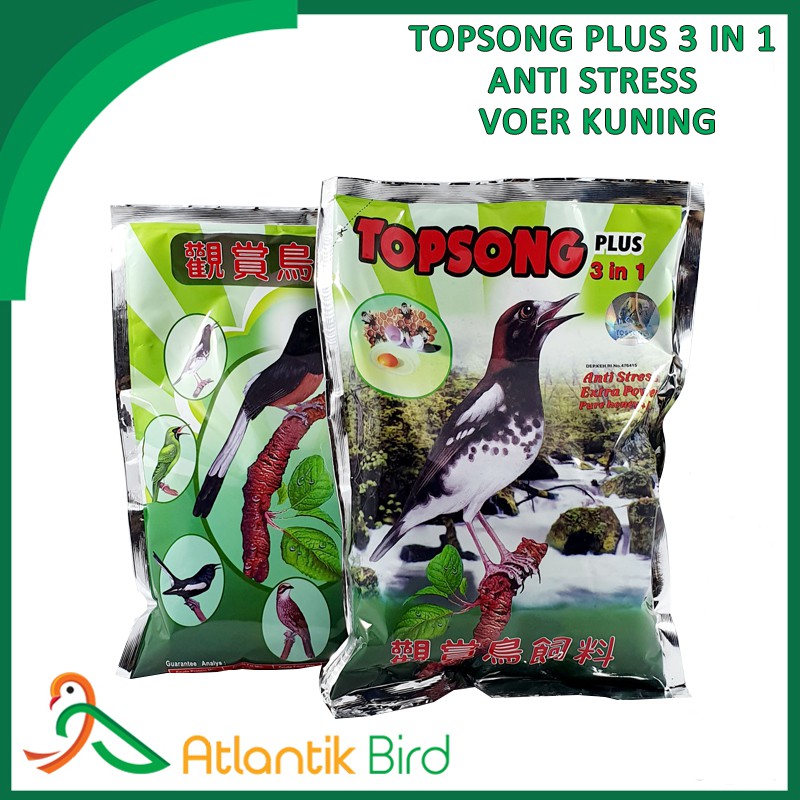 Atlantik Bird Topsong plus 3 in 1 Coklat anti stress extra power pure