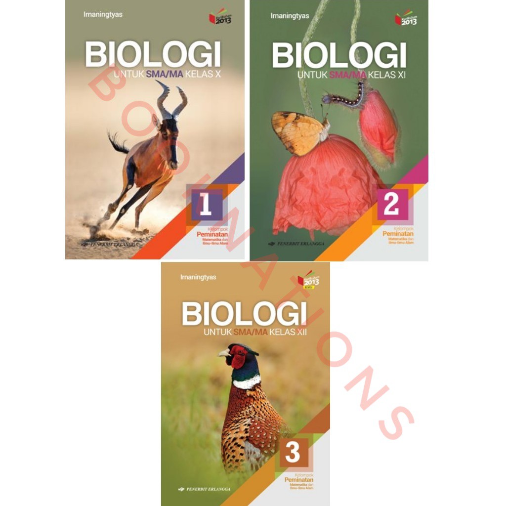 BUKU BIOLOGI SMA KELAS 10, 11, 12 ERLANGGA IRNANINGTYAS