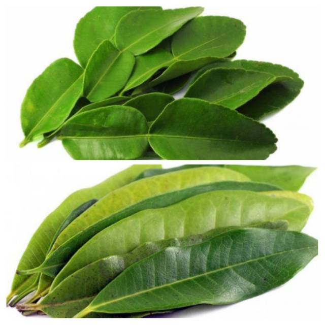 Daun Jeruk, Daun Salam Shopee Indonesia