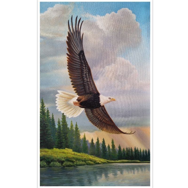 Jual Lukisan Burung Elang 60 X 100 Cm Indonesia|Shopee Indonesia 800_X_800_jpg