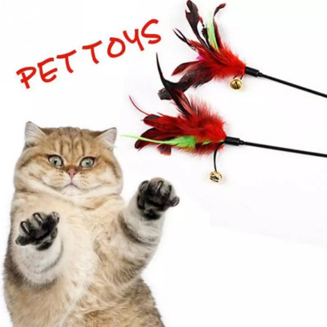 mainan kucing tongkat bulu angsa PET4106 Shopee Indonesia