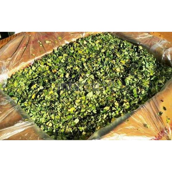 Promo Termurah Daun Kelor Moringa oleifera leave serbuk kapsul