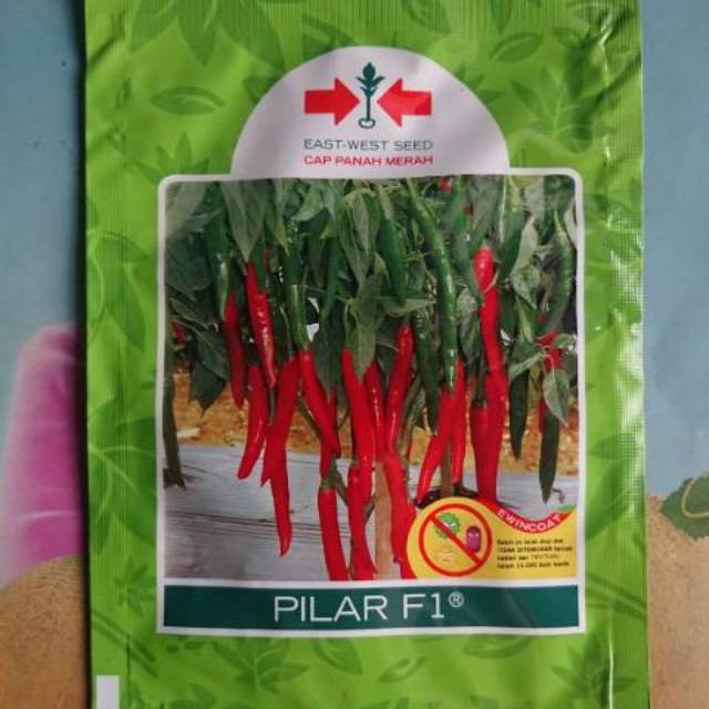 Benih Bibit Cabe Merah Besar PILAR F1 1500 Biji Shopee Indonesia