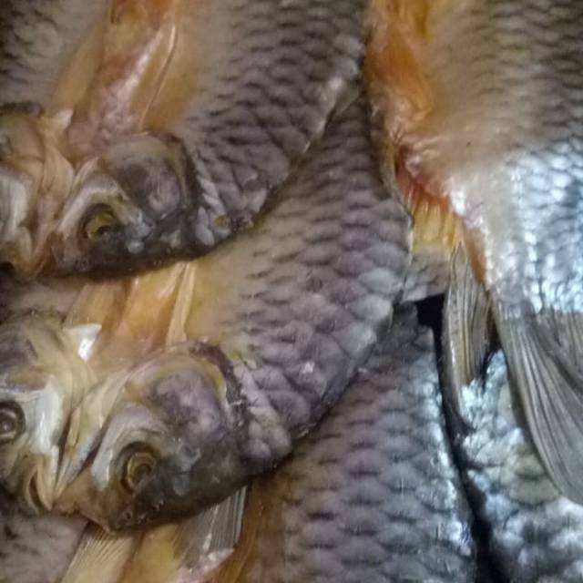 Ikan tawes/rancak besar per 500gr Shopee Indonesia