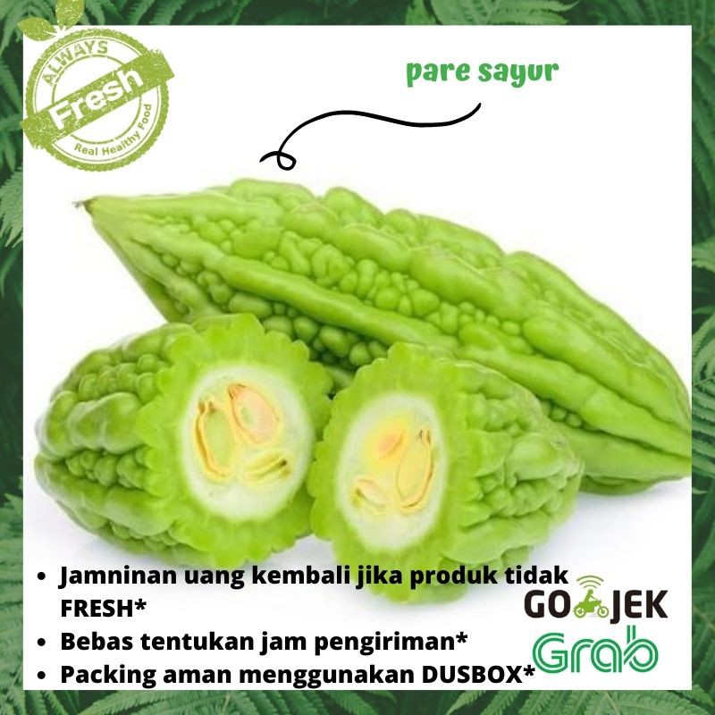SAYUR PARE / PARE SAYURAN SEGAR FRESH 250gr | Shopee Indonesia
