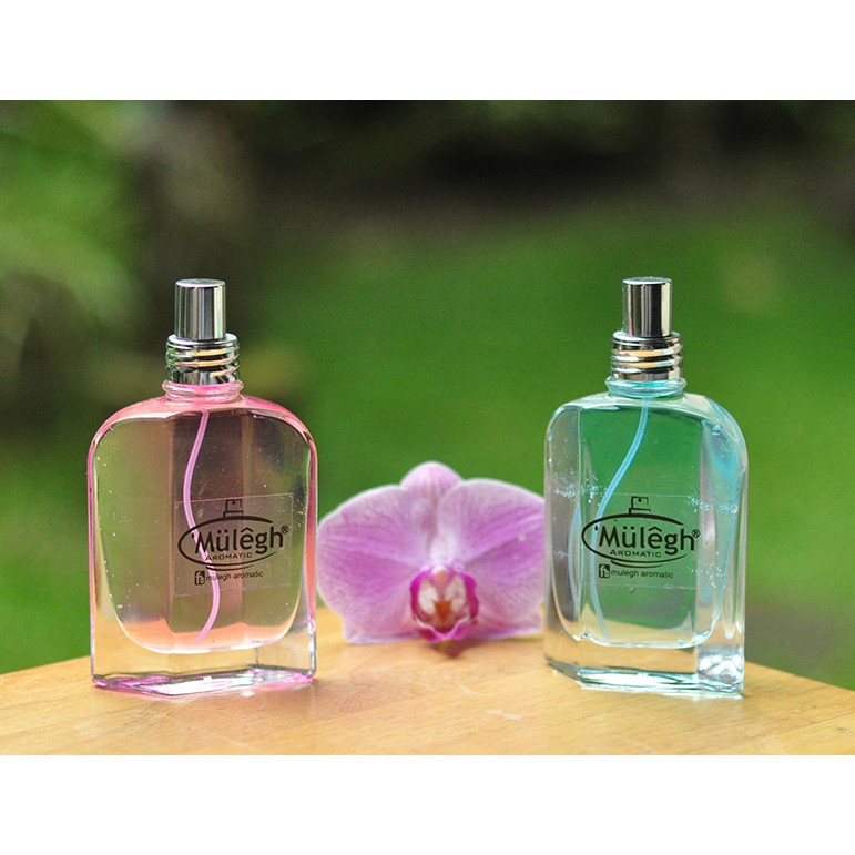 Daftar Nama Parfum Mulegh Materi Pendidikan