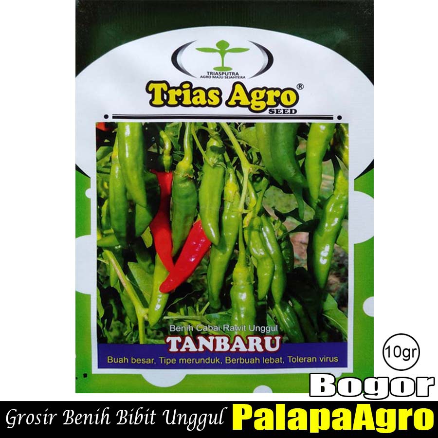 Merk Bibit Cabe Rawit Yang Bagus BIBIT TAMAN