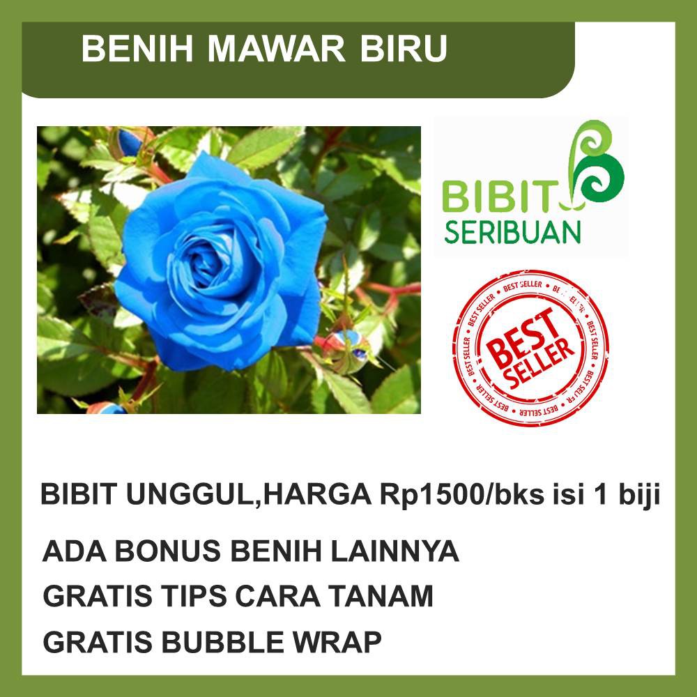 BENIH BUNGA MAWAR BIRU Shopee Indonesia