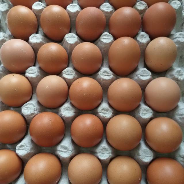 Jual Telur Ayam Warna Coklat | Shopee Indonesia