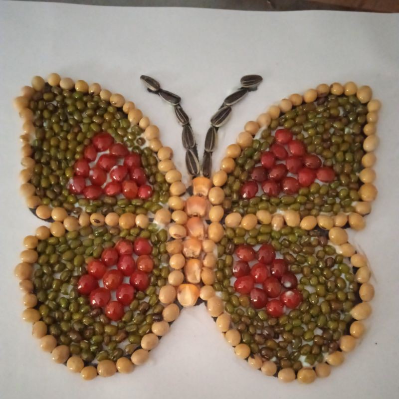 Kolase kupu-kupu biji bijian | Shopee Indonesia