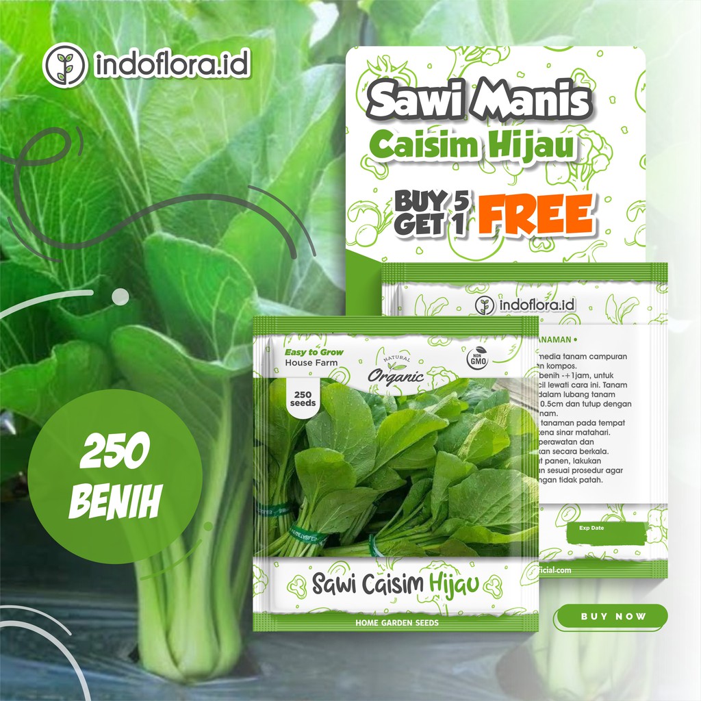 Benih Sawi Manis CAISIM HIJAU SHINTA F1 250benih Shopee Indonesia