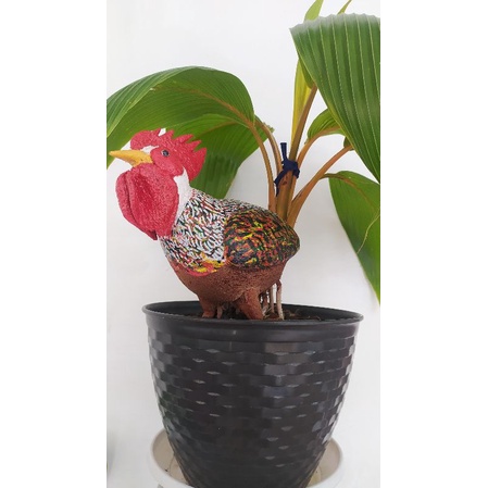 Jual Bonsai Kelapa Bentuk Ayam Indonesia|Shopee Indonesia