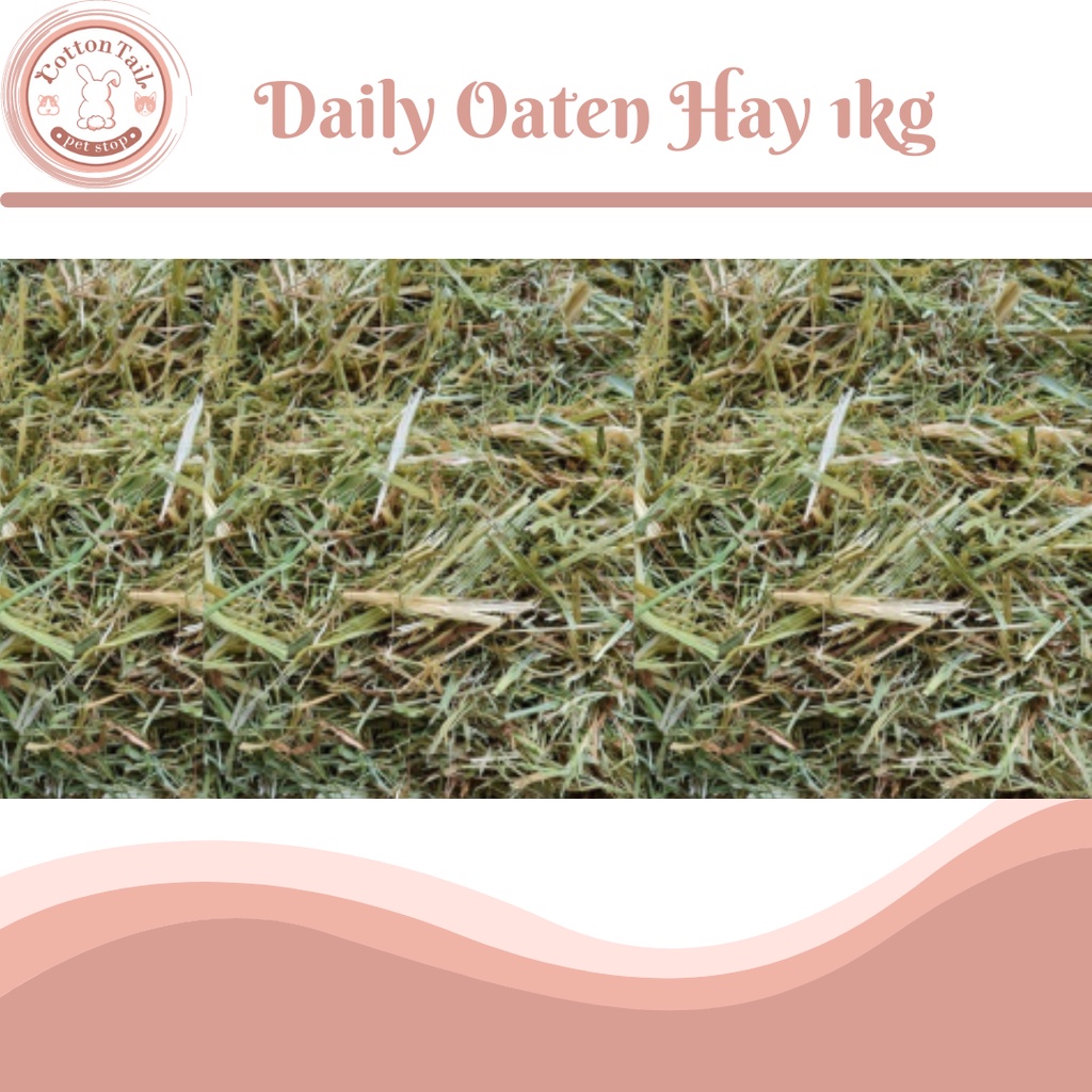 Jual DAILY OATEN HAY NO TIMOTHY MAKANAN KELINCI BEST CHOICE OATEN HAY