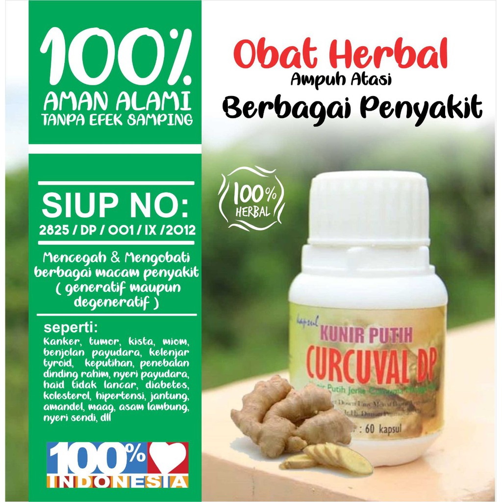 Harga Jual Kunyit Putih