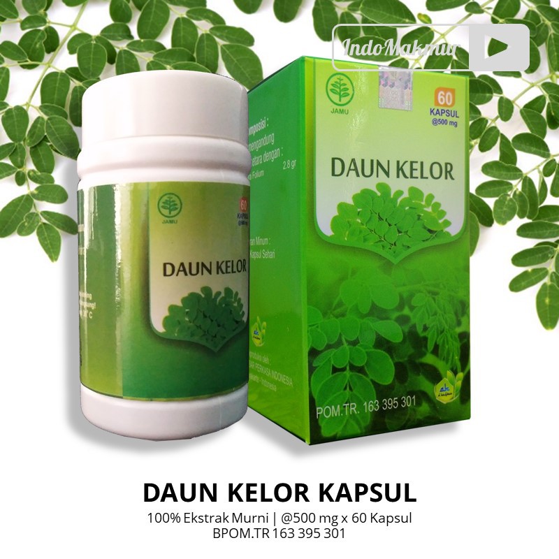 4000+ Gambar Daun Kelor Obat HD Terbaik Gambar ID