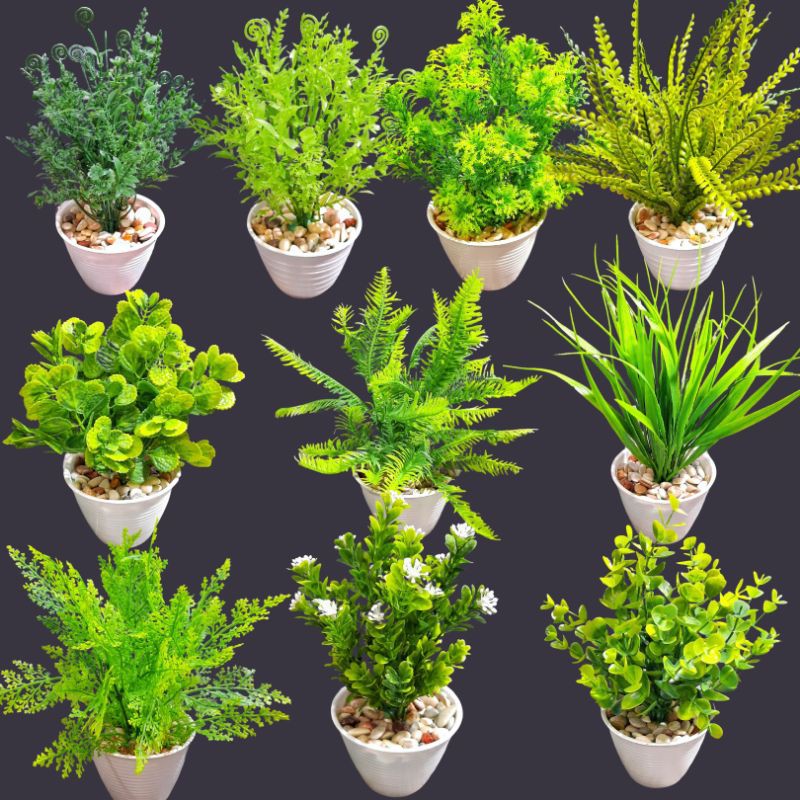 5pot 110ribu Daun Dekorasi Pot Tawon 10cm Shopee Indonesia