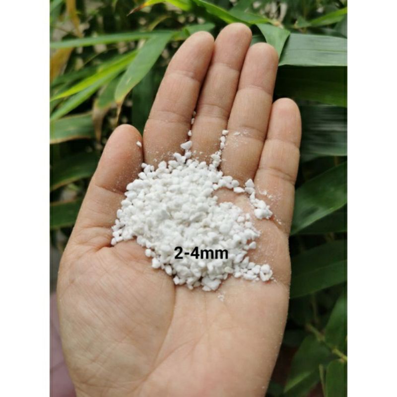 Jual Perlite Media Tanam Premium 1 Liter Shopee Indonesia