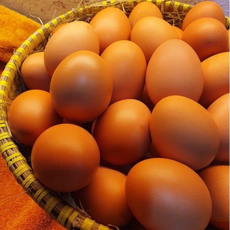 Jual TELUR AYAM setengah kilo / sekilo 500gr / 1kg Shopee Indonesia