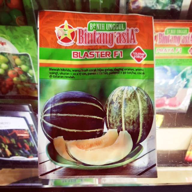 Bibit Blewah BLASTER F1 15GR Shopee Indonesia