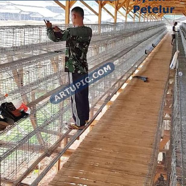 Ⓜswi✧ <em>Harga Grosir</em> Kandang Ayam Petelur Galvanis Kawat Layer Artupic !. |  Shopee Indonesia