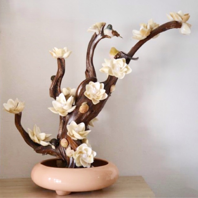 PAJANGAN BONSAI DARI KULIT KERANG (SEASHELL) | Shopee Indonesia