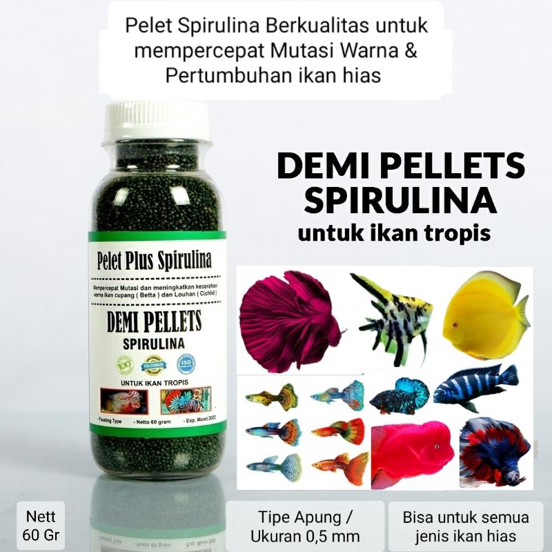 Jual Demi Pellets Spirulina Untuk Cepat Mutasi Warna & Cerahkan sisik ikan Hias 60 Gram Shopee