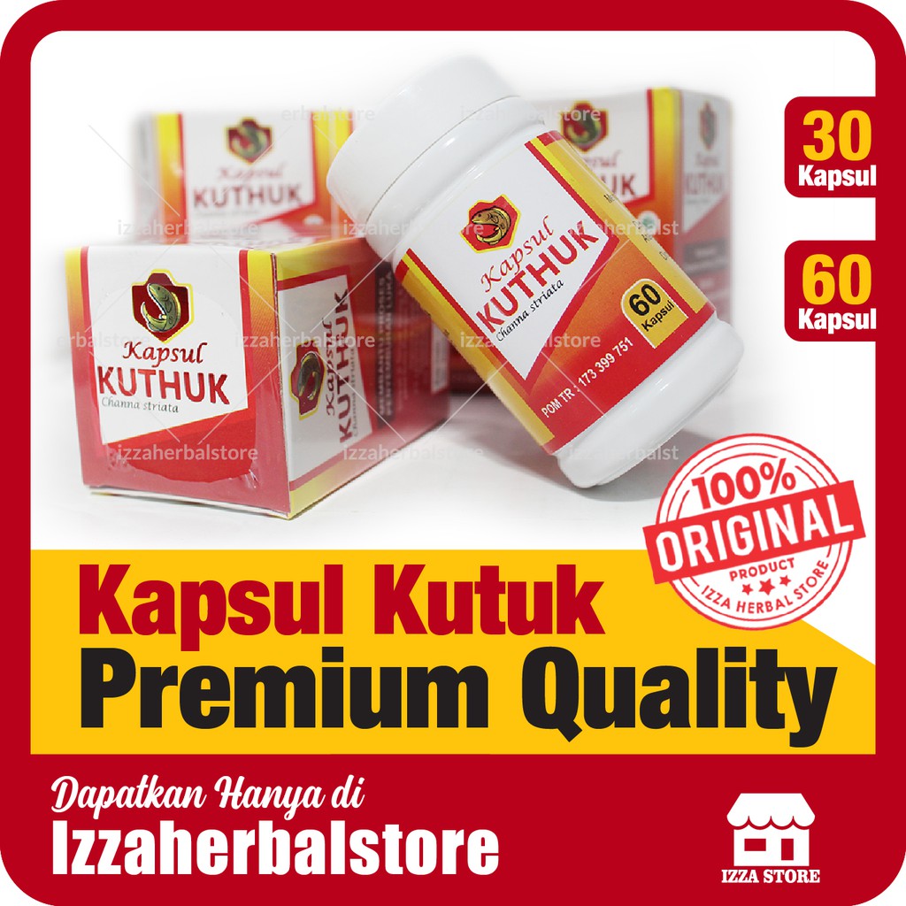 KAPSUL KUTUK PREMIUM QUALITY KUTHUK Albumin Ikan Gabus Original Izin