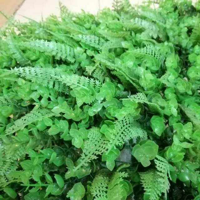 Tanaman hias rambat dingding artificial daun rambat artificial Shopee