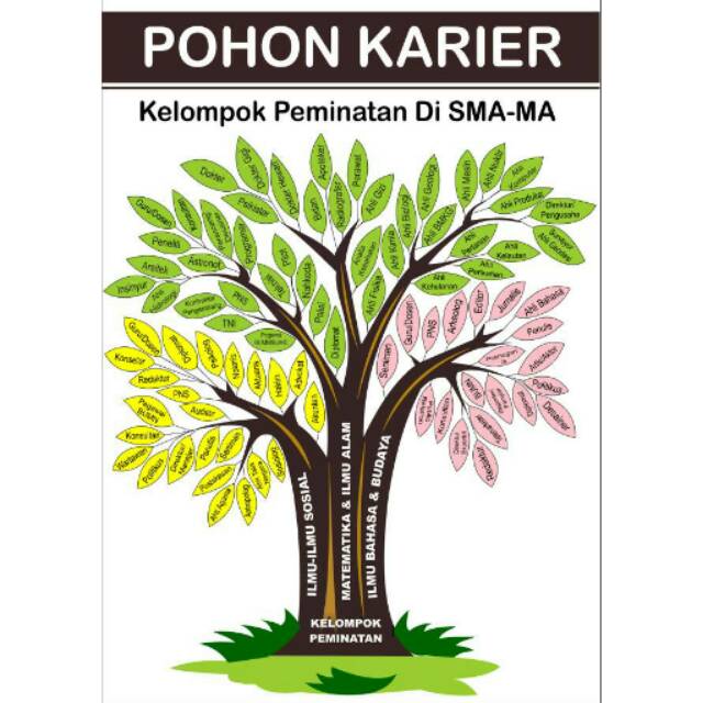 Gambar Pohon Karir Dan Pohon Jabatan Tempat Berbagi Gambar