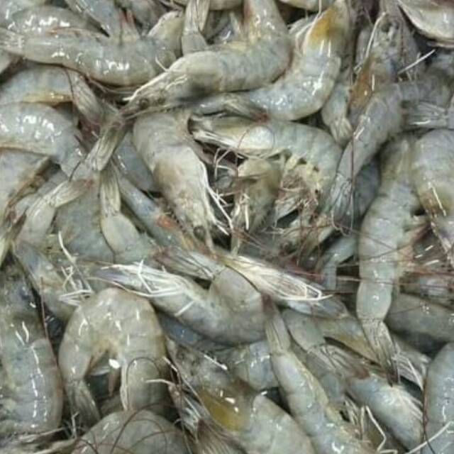 Udang Segar/ Udang jerbung/ udang AK 60/ Udang Fresh/ Udang Tangerang  Selatan/ Udang Tambak 500gram | Shopee Indonesia