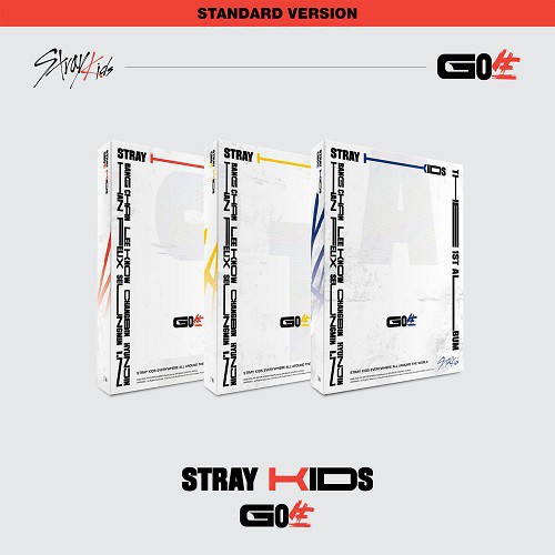 Jual Album Stray Kids - Go生 Go Live (Standard Ver.) Indonesia|Shopee Indonesia