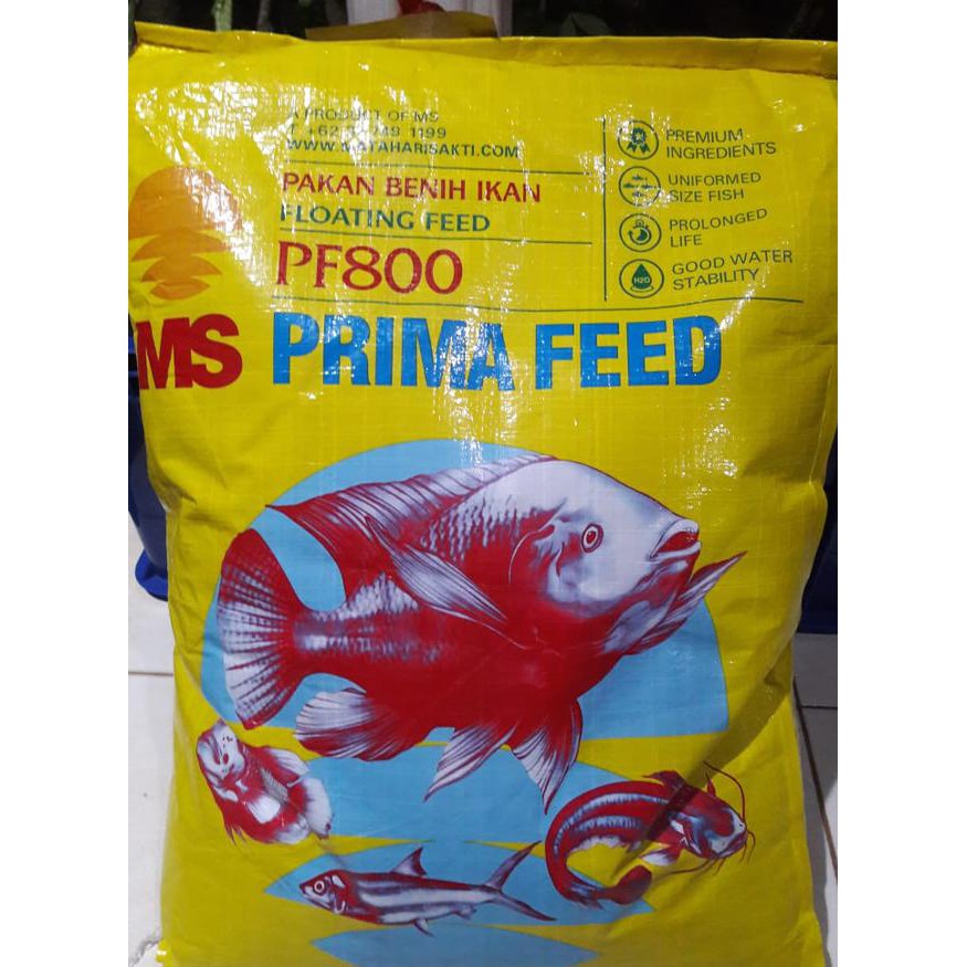 Benih Ikan Lele Gurame Bibit Ikan