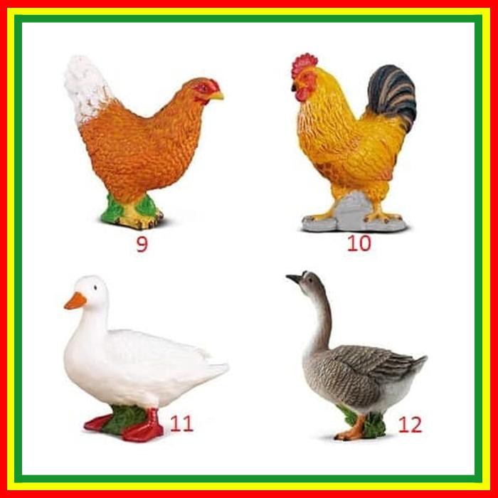 Gambar Bebek Dan Ayam