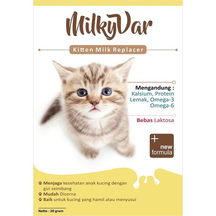 Cara Membuat Botol Susu Untuk Anak Kucing Info Tentang Susu