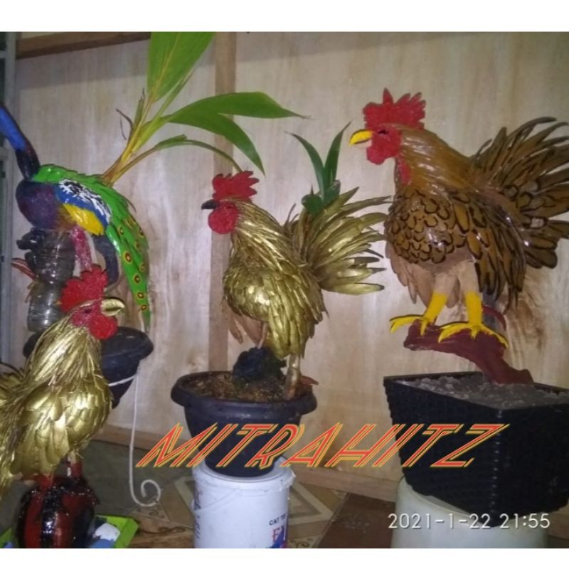Jual Bonsai Kelapa Motif Ayam / Hiasan Rumah / Tanaman Hias  Indonesia|Shopee Indonesia