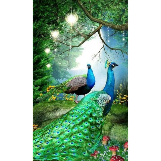 Poster Lukisan burung merak canvas 120x60 cm | Shopee Indonesia