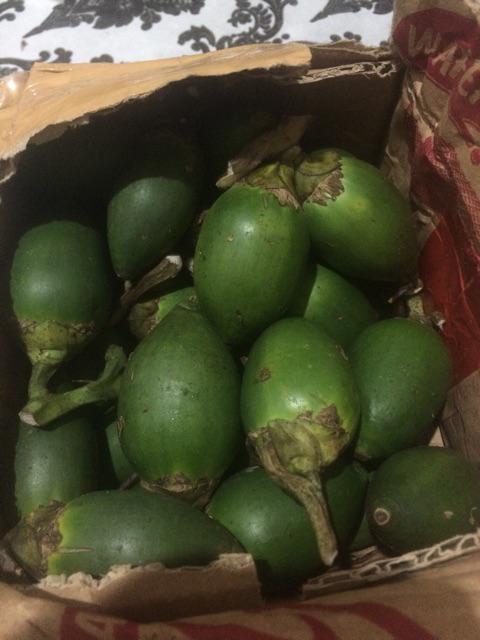 Manfaat Jambe Nom » Greatnesia