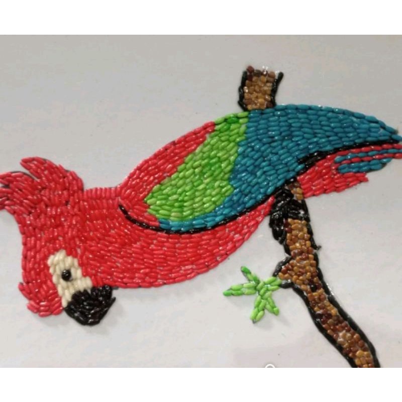 Jual Kolase Burung Indonesia|Shopee Indonesia 800_X_800_jpg