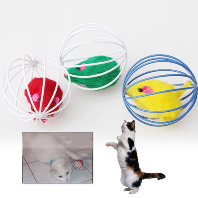 Mainan Kucing / Cat Teaser / Mainan Bola Kucing Shopee