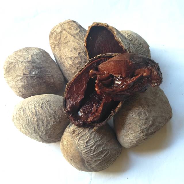 Kluwek 1 Kg kluwak bumbu rawon Shopee Indonesia