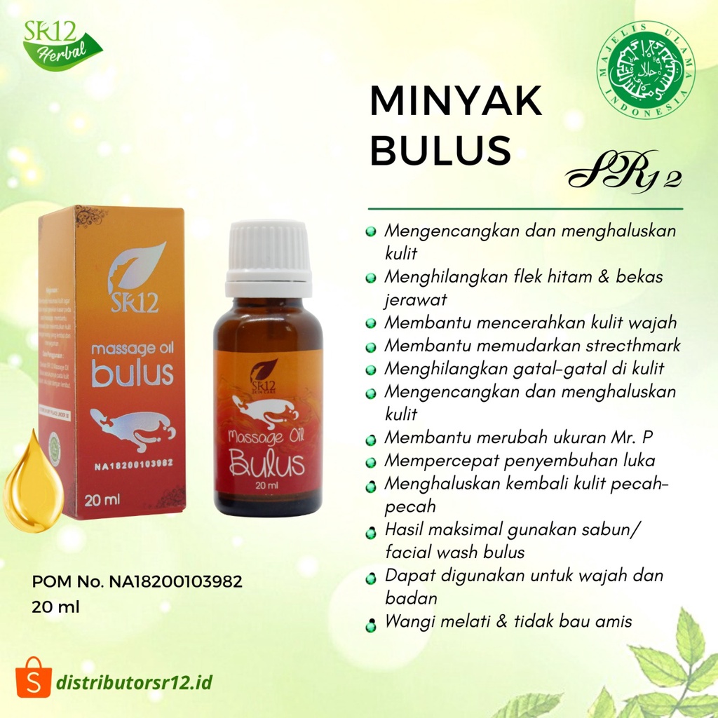 Jual MINYAK BULUS ORIGINAL / MASSAGE OIL BULUS SR12 / PENGENCANG
