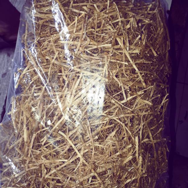 Akar alang alang kering alang alang 500g Shopee Indonesia