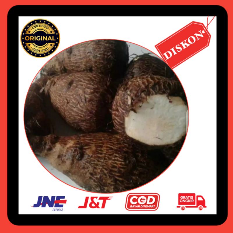 Jual Talas bogor talas mentah ubi talas bahan keripik talas Shopee